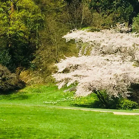 Διαμέρισμα View Μπάντεν-Μπάντεν