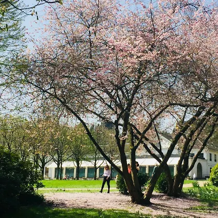 View Διαμέρισμα Μπάντεν-Μπάντεν