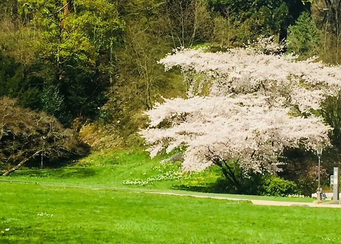 Appartement View Baden-Baden